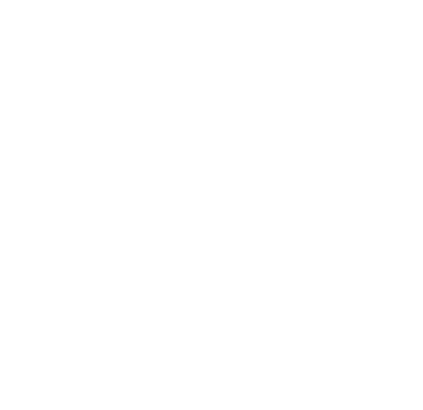 Nian-Junior-Logo